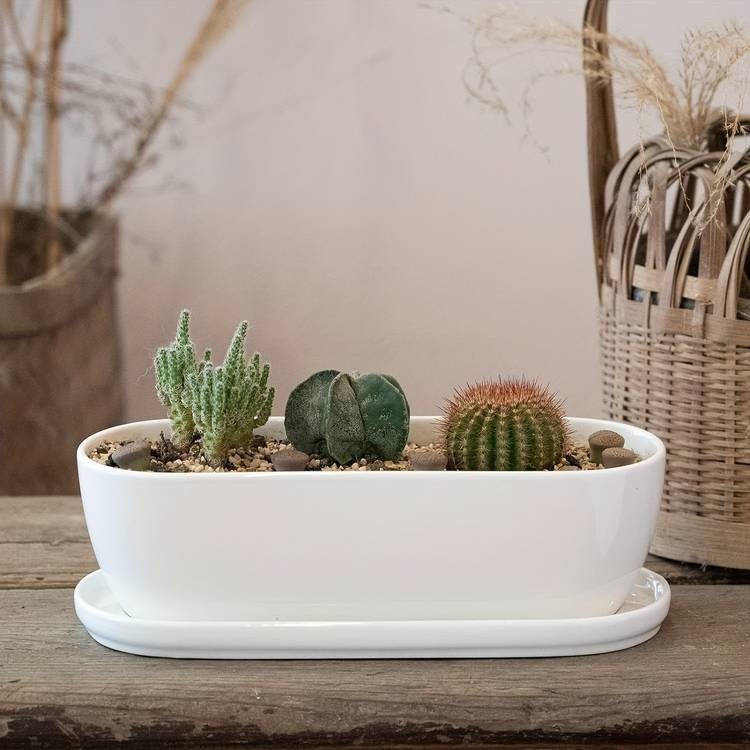 1pc Oval Ceramic Planter Pot with Drainage Hole Saucers – Stylish Planter for Succulents, Herbs, and Cactus