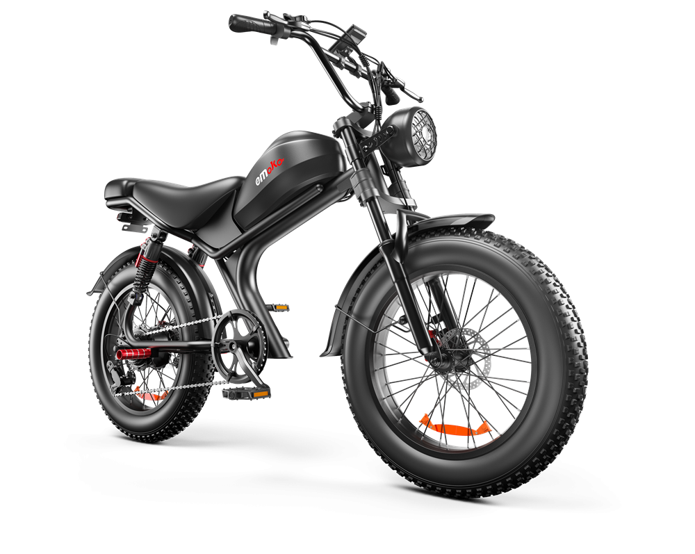 Electric Bike