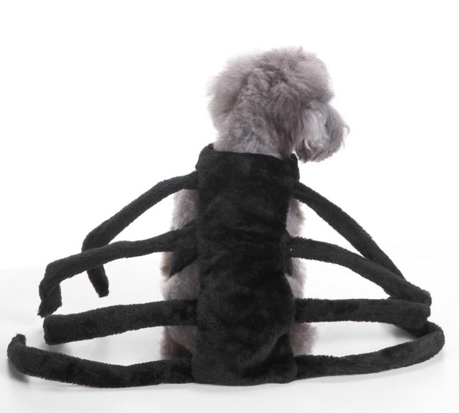Animal Costume For Dog