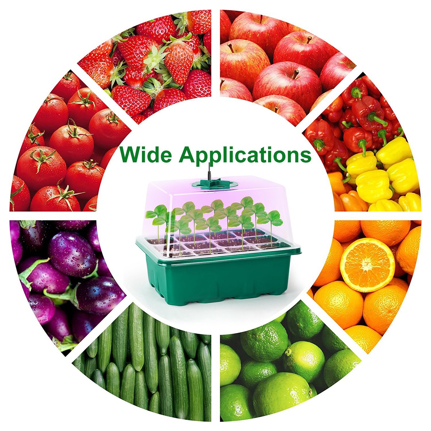 Humidity Vented Dome Tray