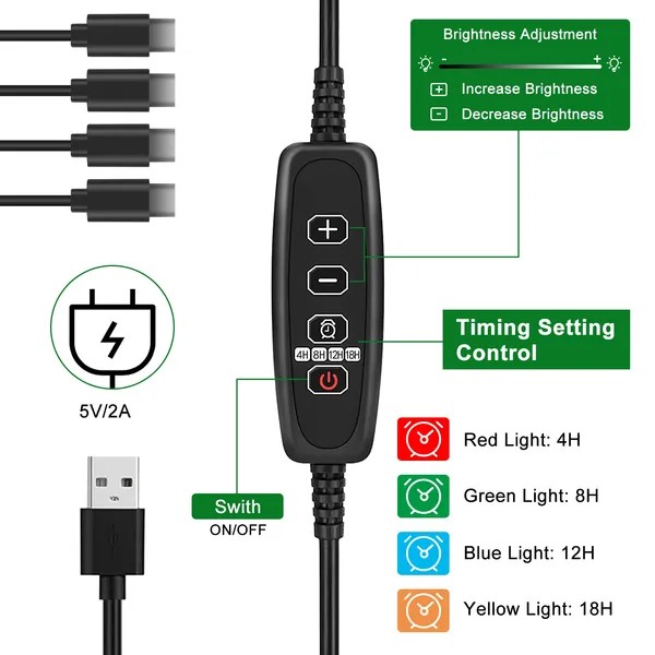 Seed Starter Tray Plant