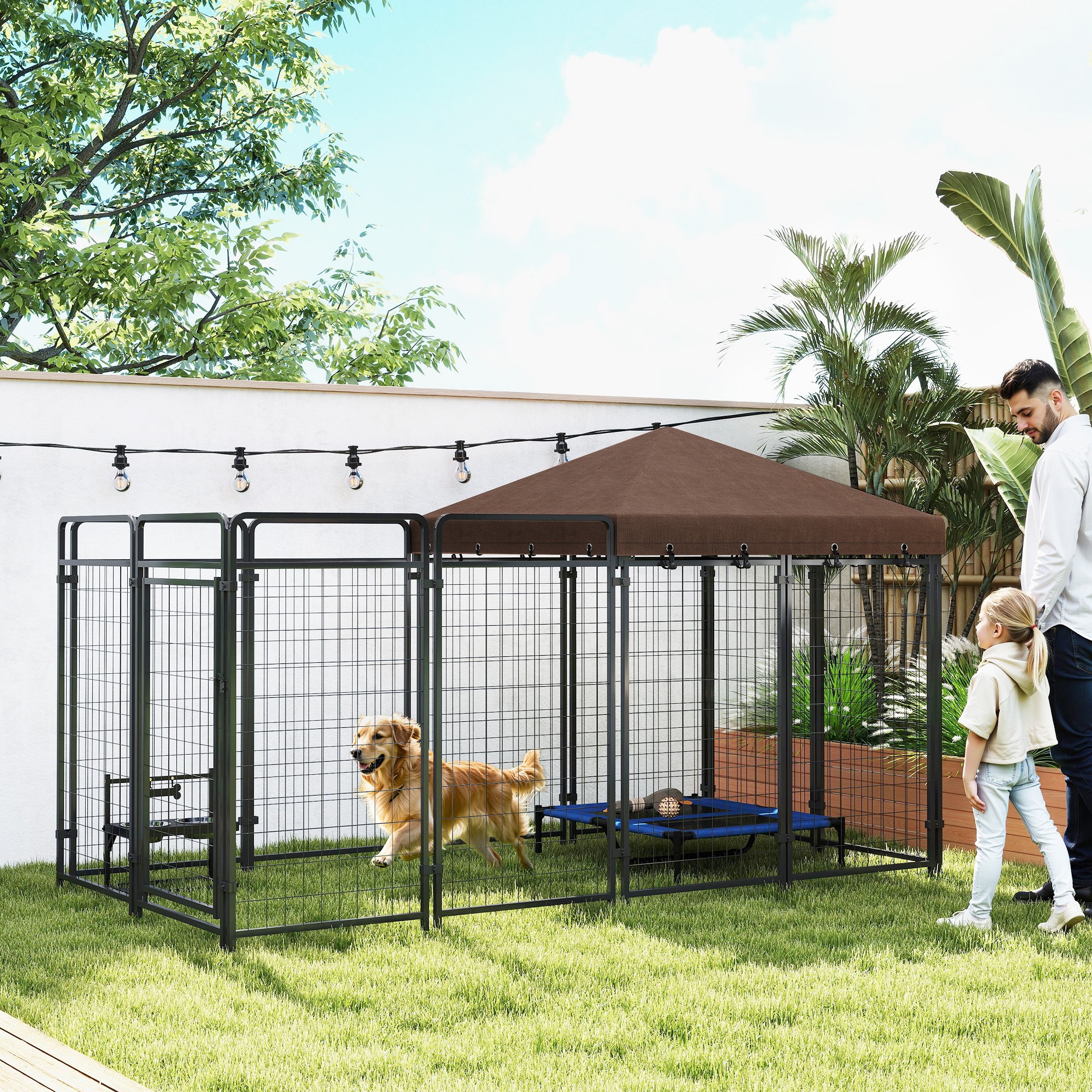 Outdoor Dog Kennel