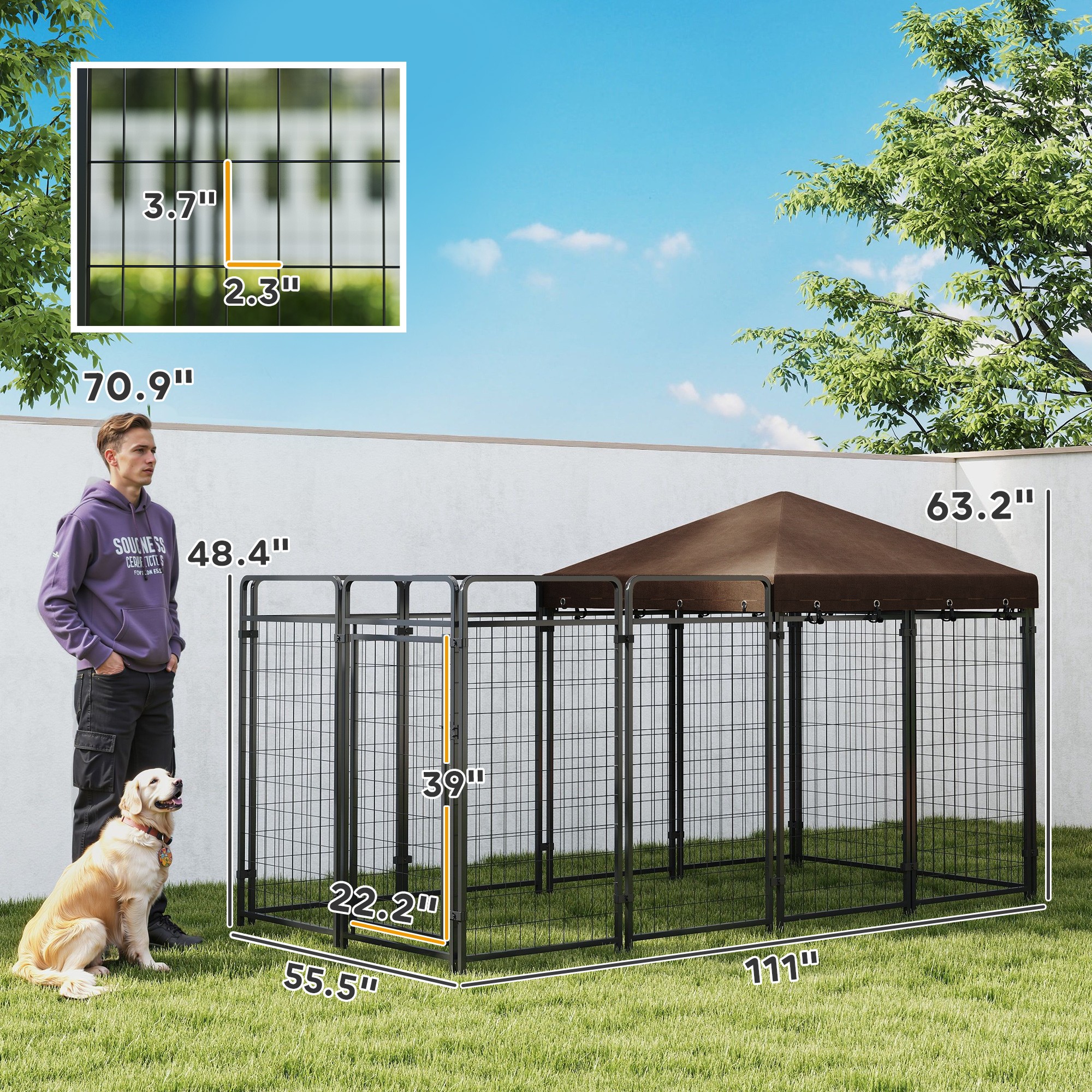 Outdoor Dog Kennel