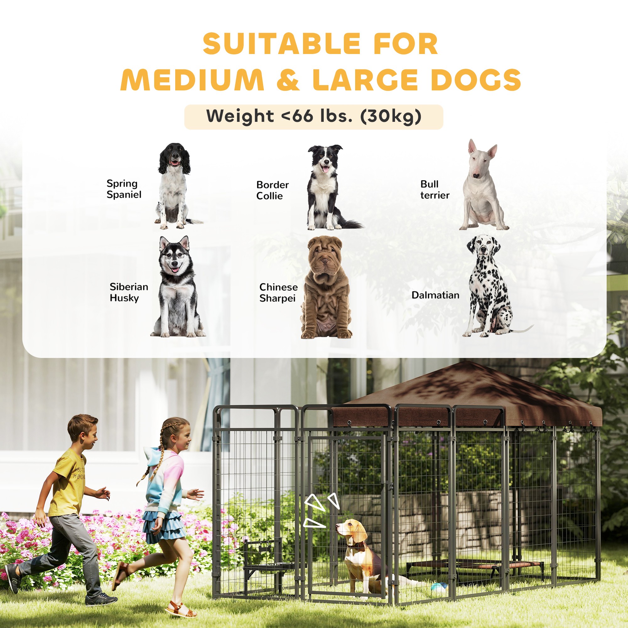 Outdoor Dog Kennel
