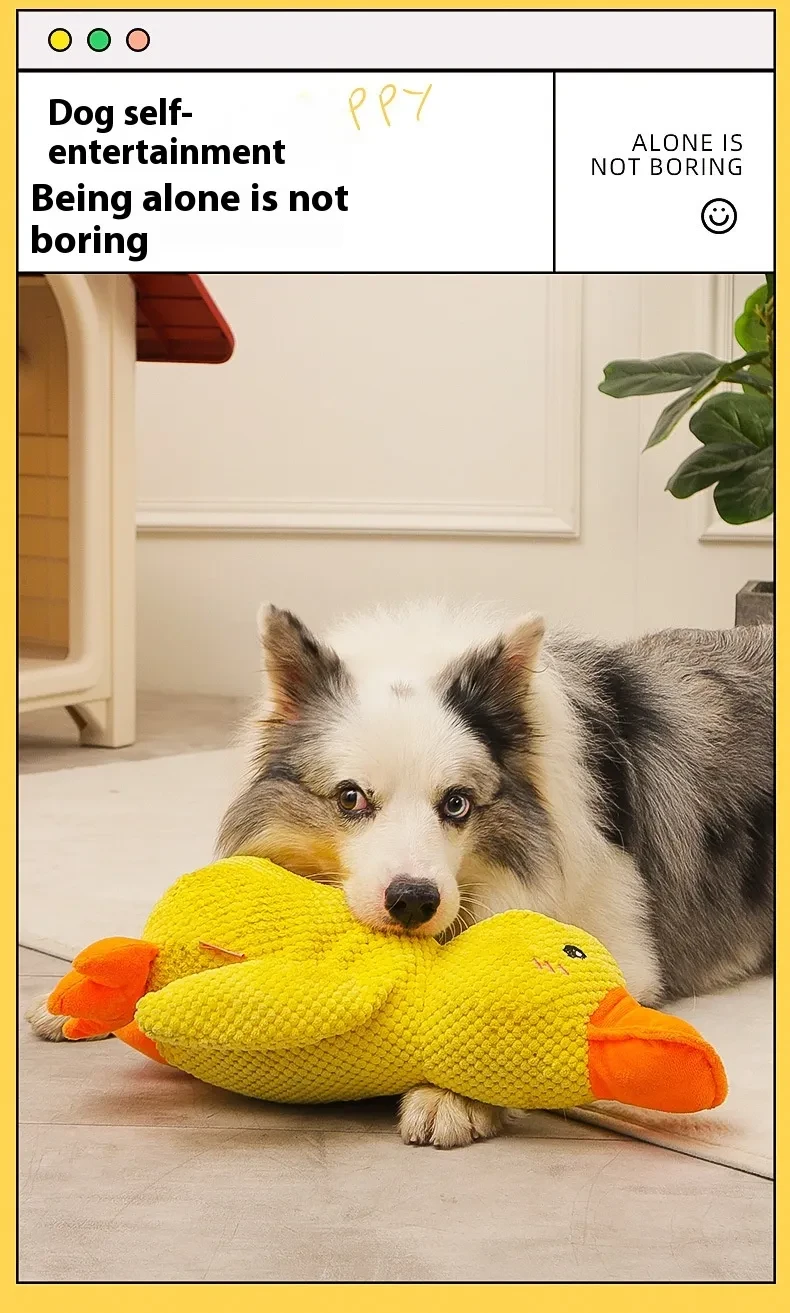 Paw Love™ - Calming Duck