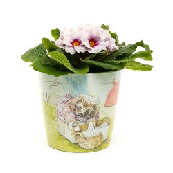 Eco Pot Bamboo: Beatrix Potter Peter Rabbit (set of 3)