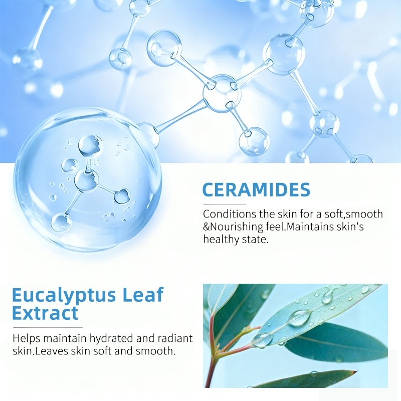 Curel Japanese Moisture Facial Milk & Lotion II Set