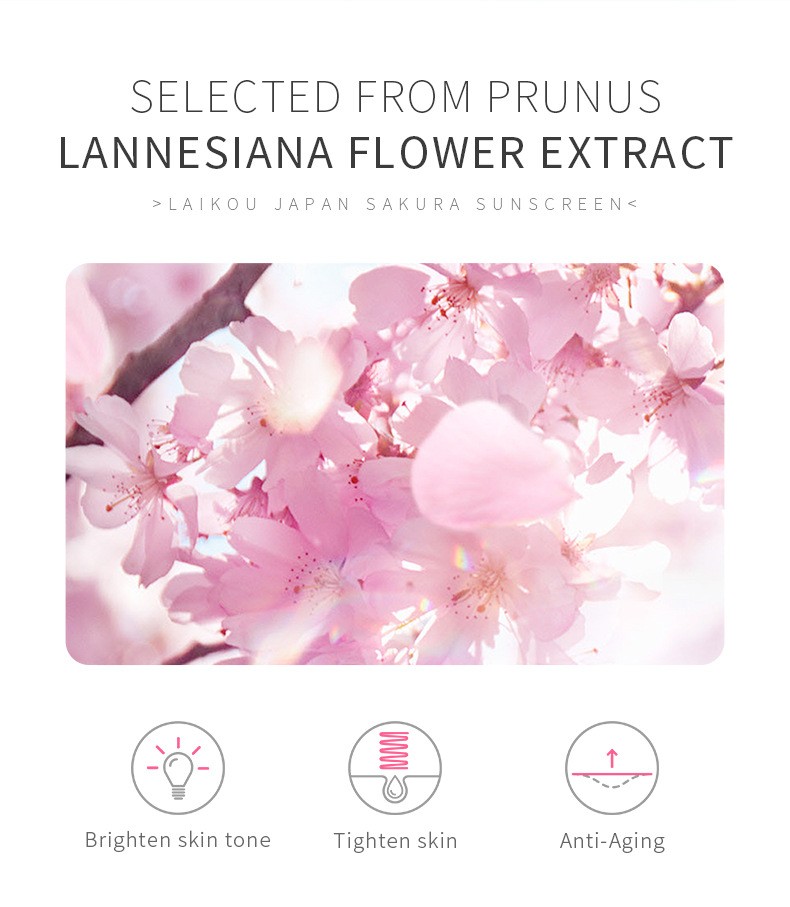 Laikou Japan Sakura Sunscreen – Ultimate Protection with SPF 50+