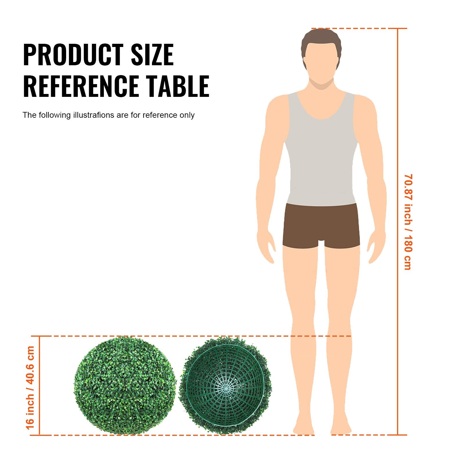 Outdoor Boxwood Trees