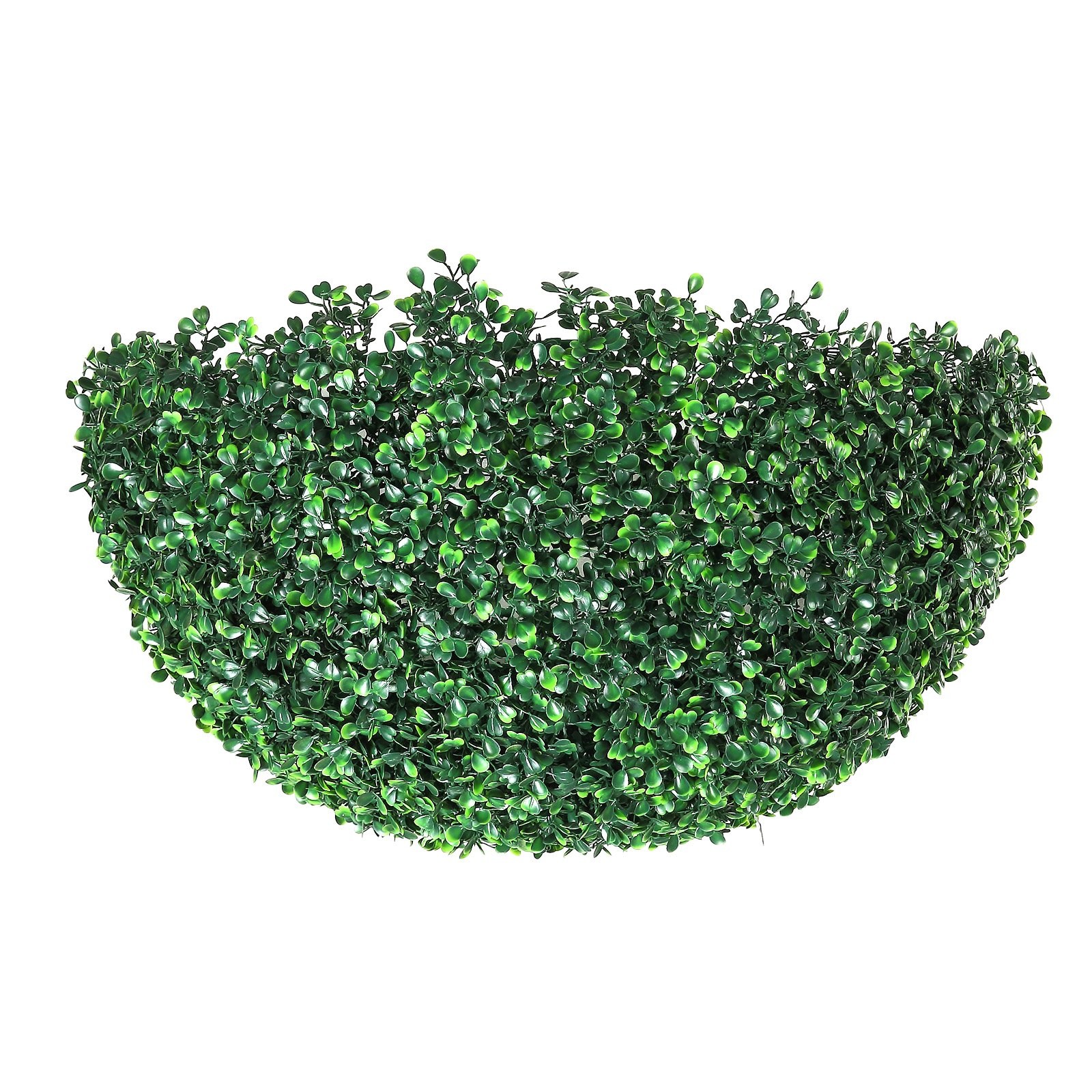 Outdoor Boxwood Trees