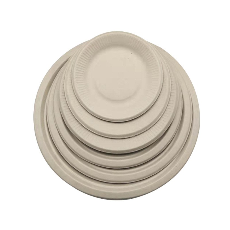 Disposable Paper Plates