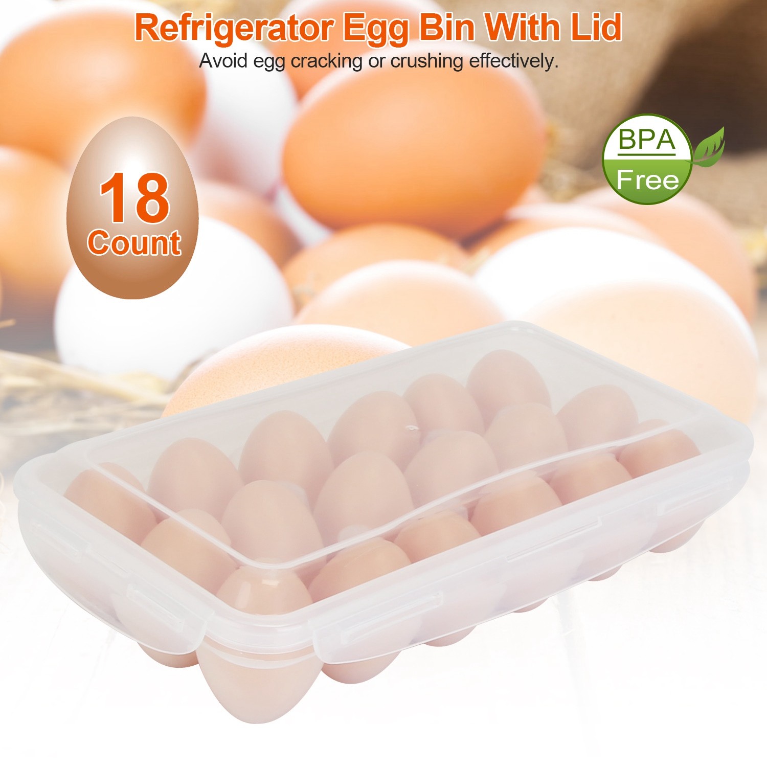 Plastic Egg Container