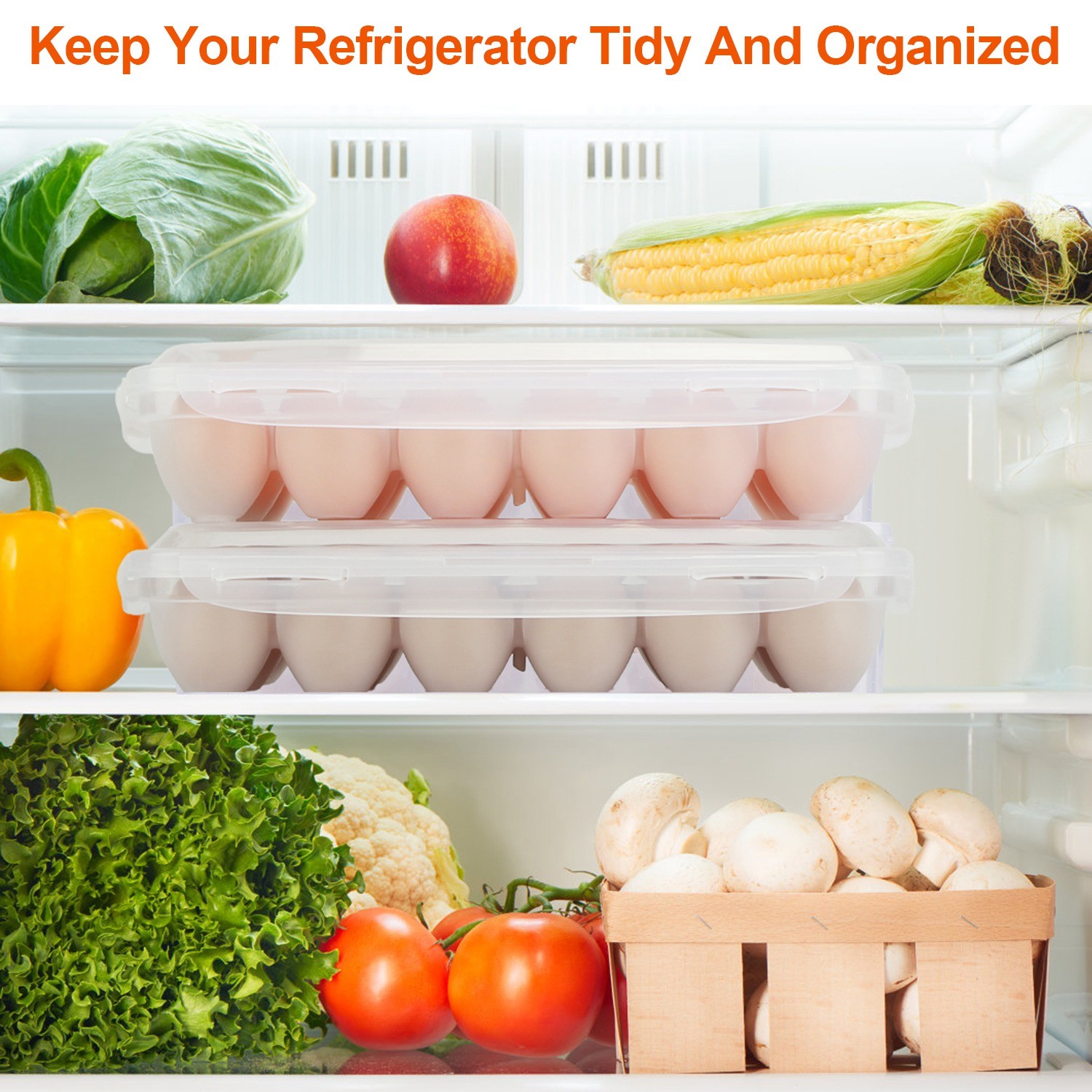 Plastic Egg Container