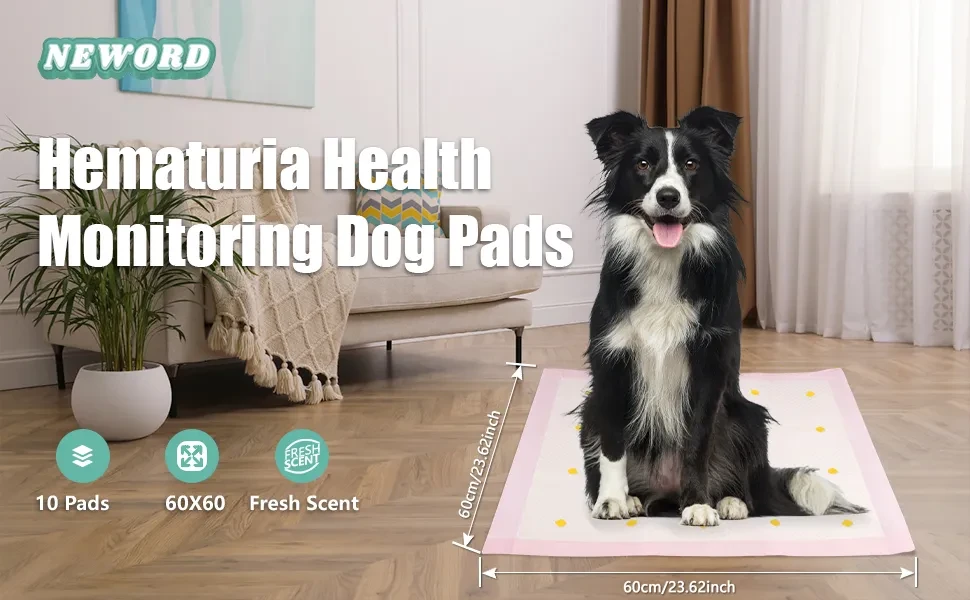 Dog Detection Urine Pad