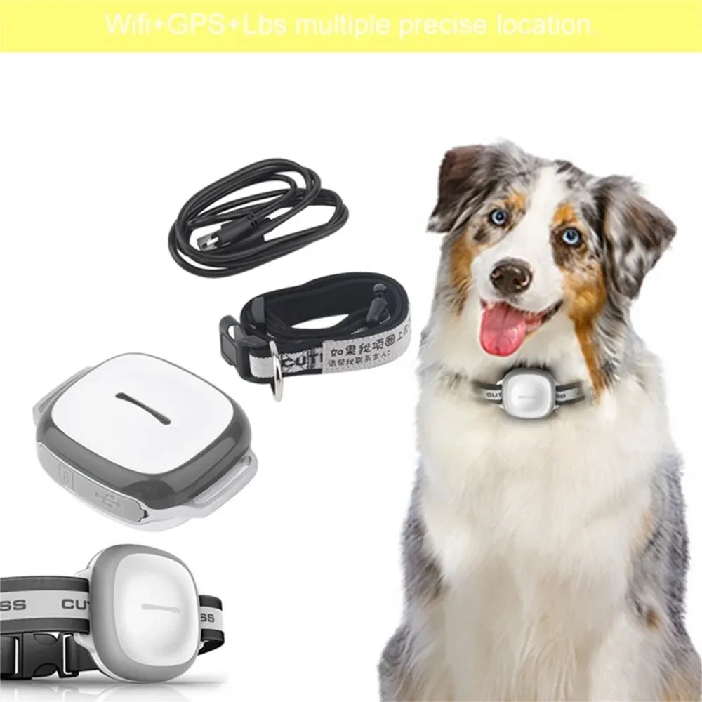 Collared Cat Dog Tracker Pet Locator Pet