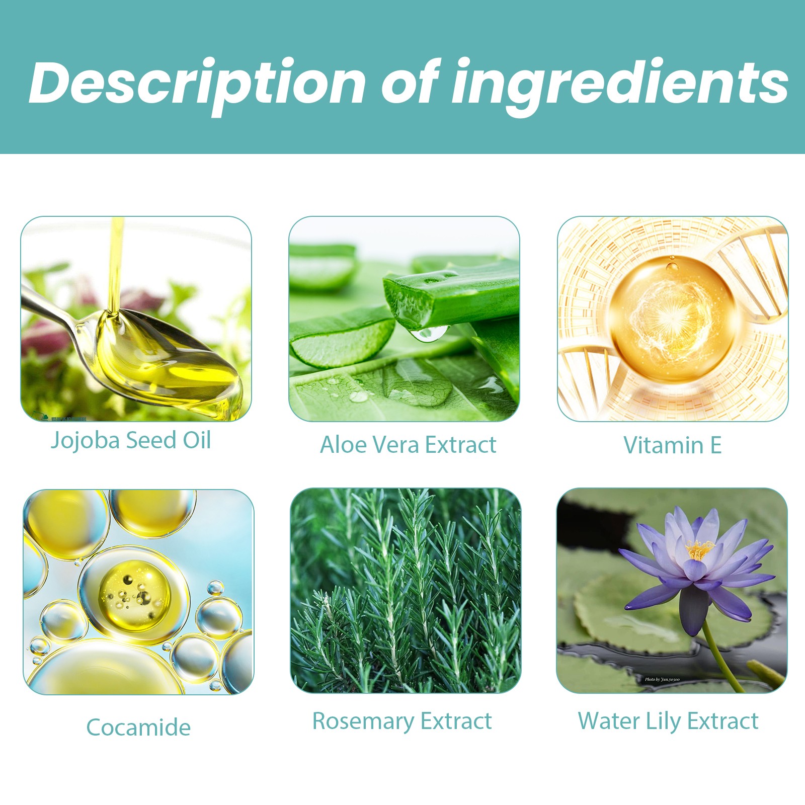 Eelhoe Skin Bath Oil - 100ml