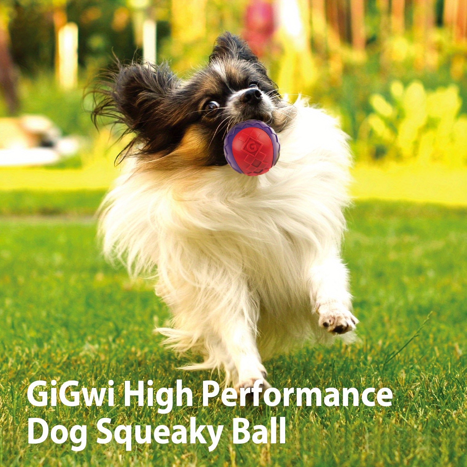 GiGwi 2pcs Indestructible Squeaky Dog Ball