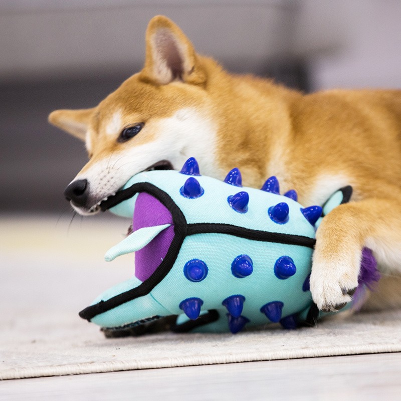 GiGwi Heavy-Duty Large Dog Chew Toy