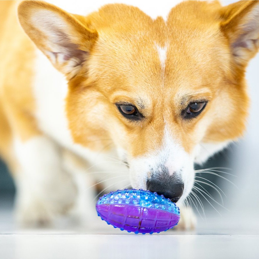 GiGwi Interactive Dog Toy Squeaky Ball