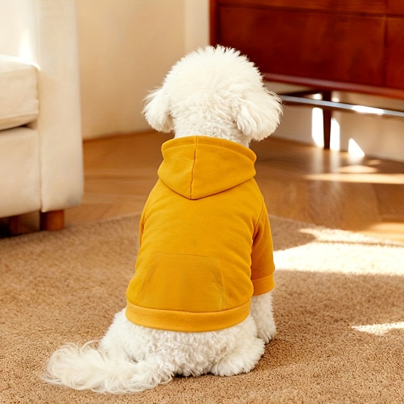 YIERYING Small Dog Ginger Yellow Hoodie with Drawstring