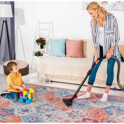 Living Room Area Rugs