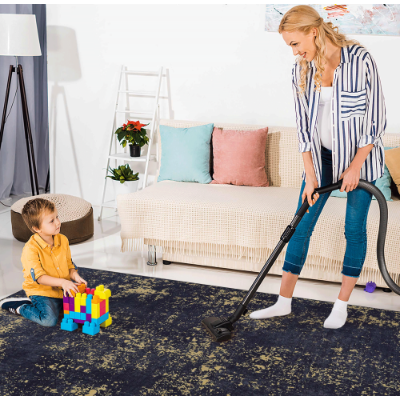 Living Room Area Rugs