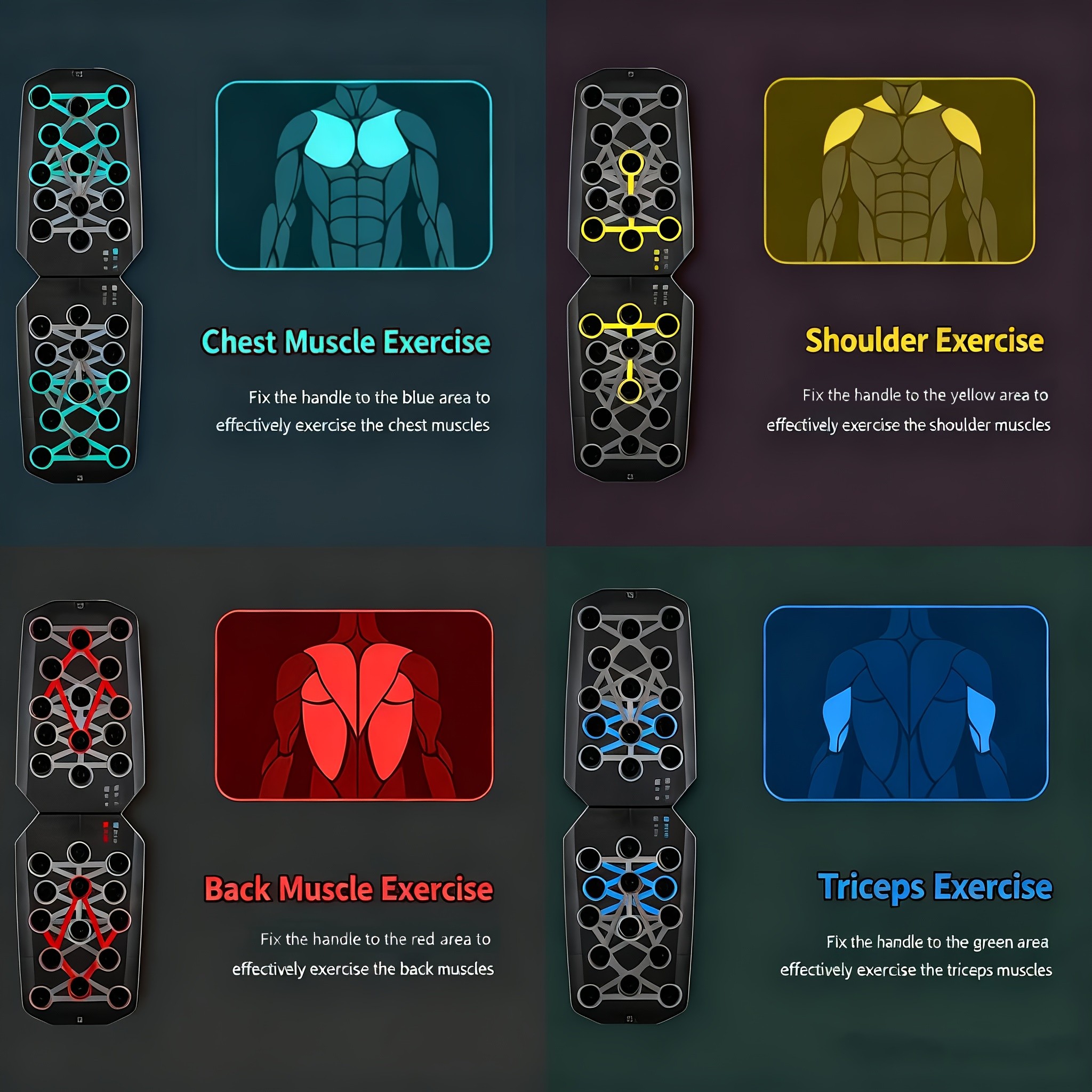 Color-Coded Push Up Board with Handles – Transform Your Home Gym Workouts