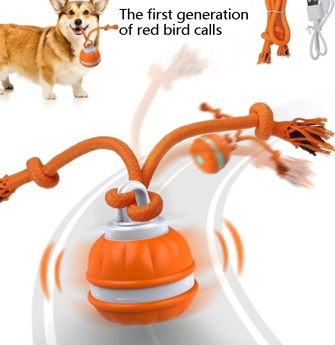 Interactive Dog Toy