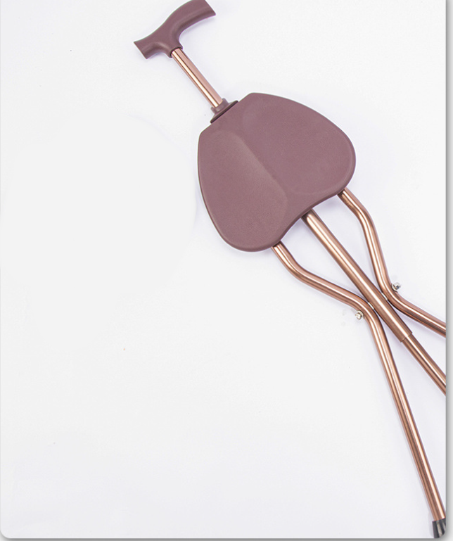 Walking Stick with Seat