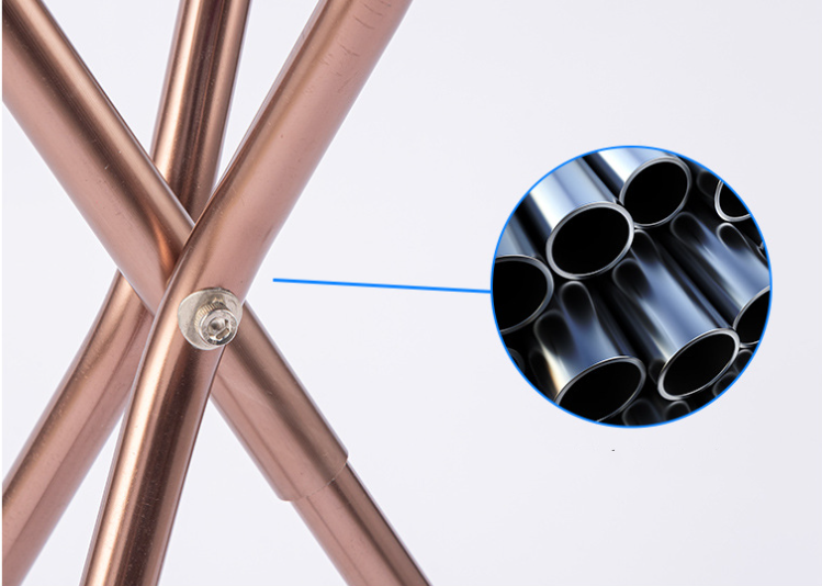 Walking Stick with Seat