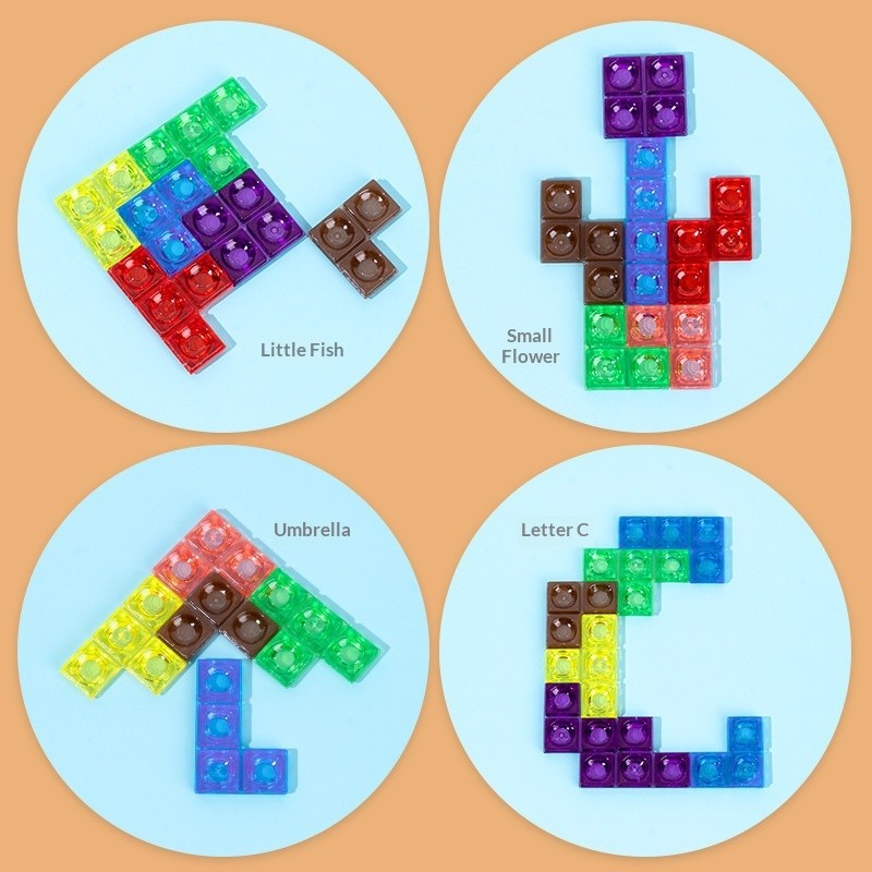 Montessori Brain Blocks
