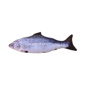 Rechargeable Smart Fish Toy