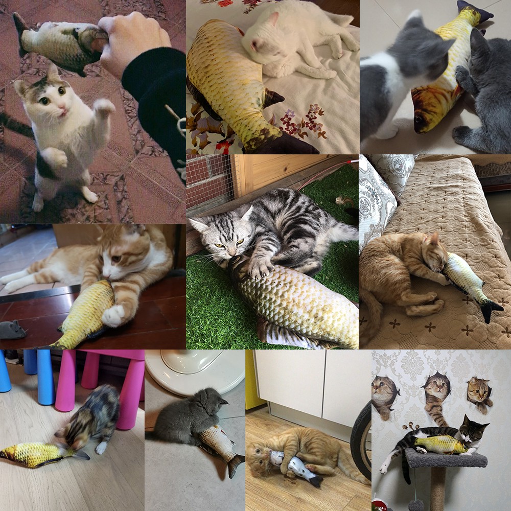 Rechargeable Smart Fish Toy