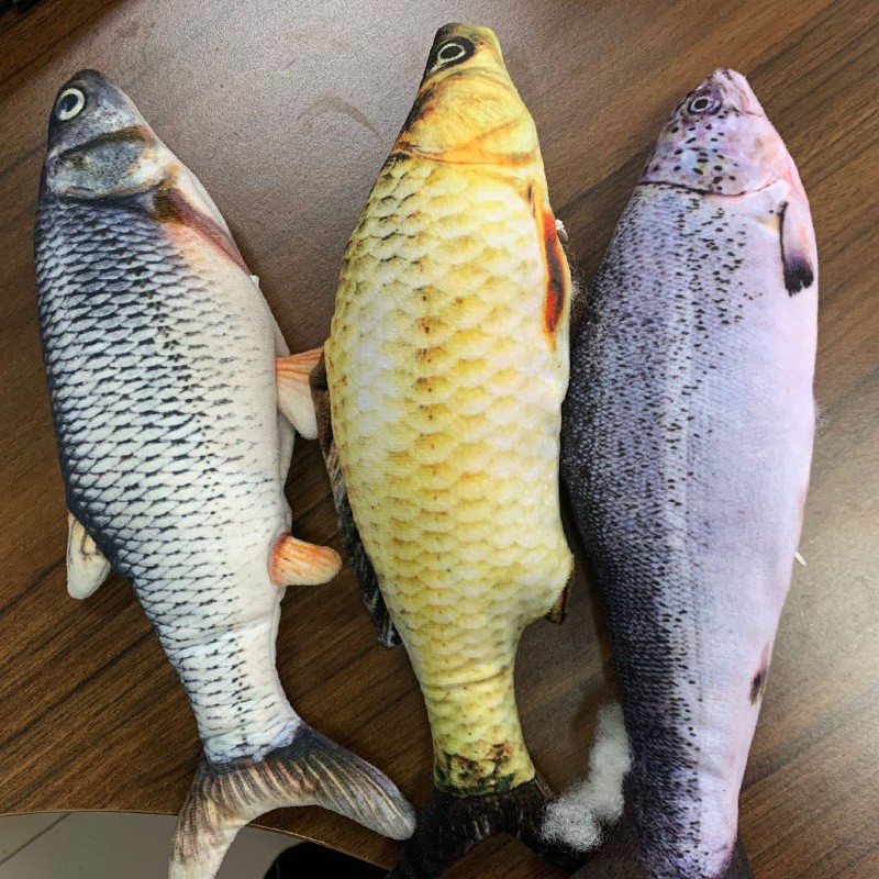 Rechargeable Smart Fish Toy