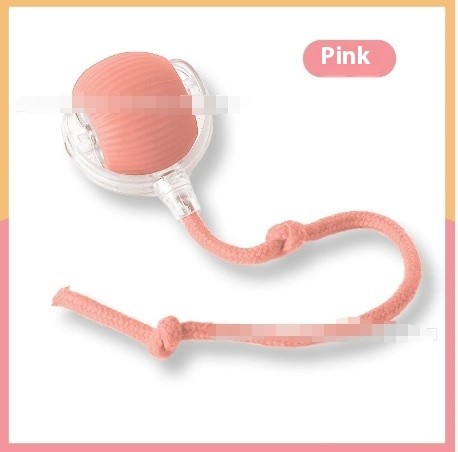 Interactive Pet Ball