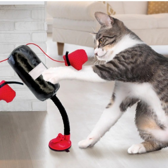 Cat Punching Bag Toy