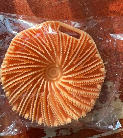 Silicone Exfoliating Brush