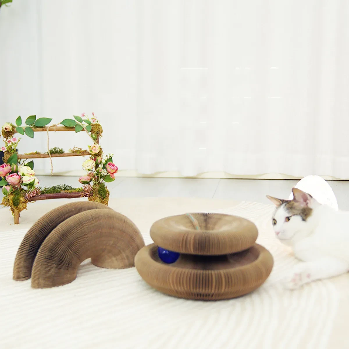 MAGIC ORGAN CAT SCRATCHING