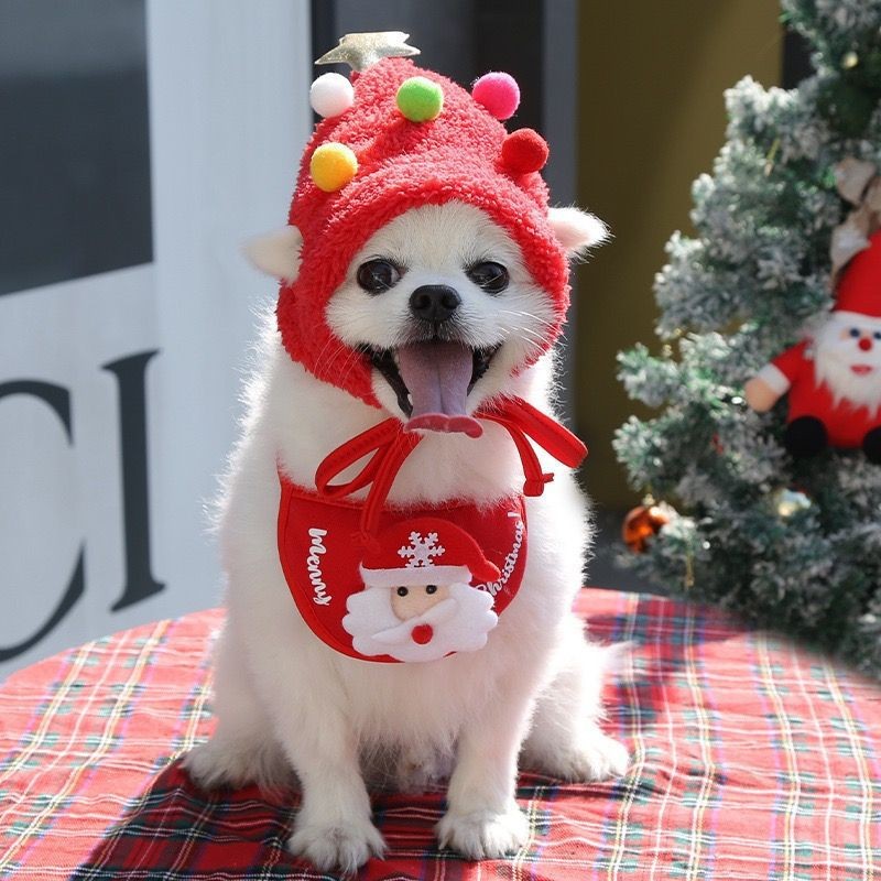 Dog Pom Hat