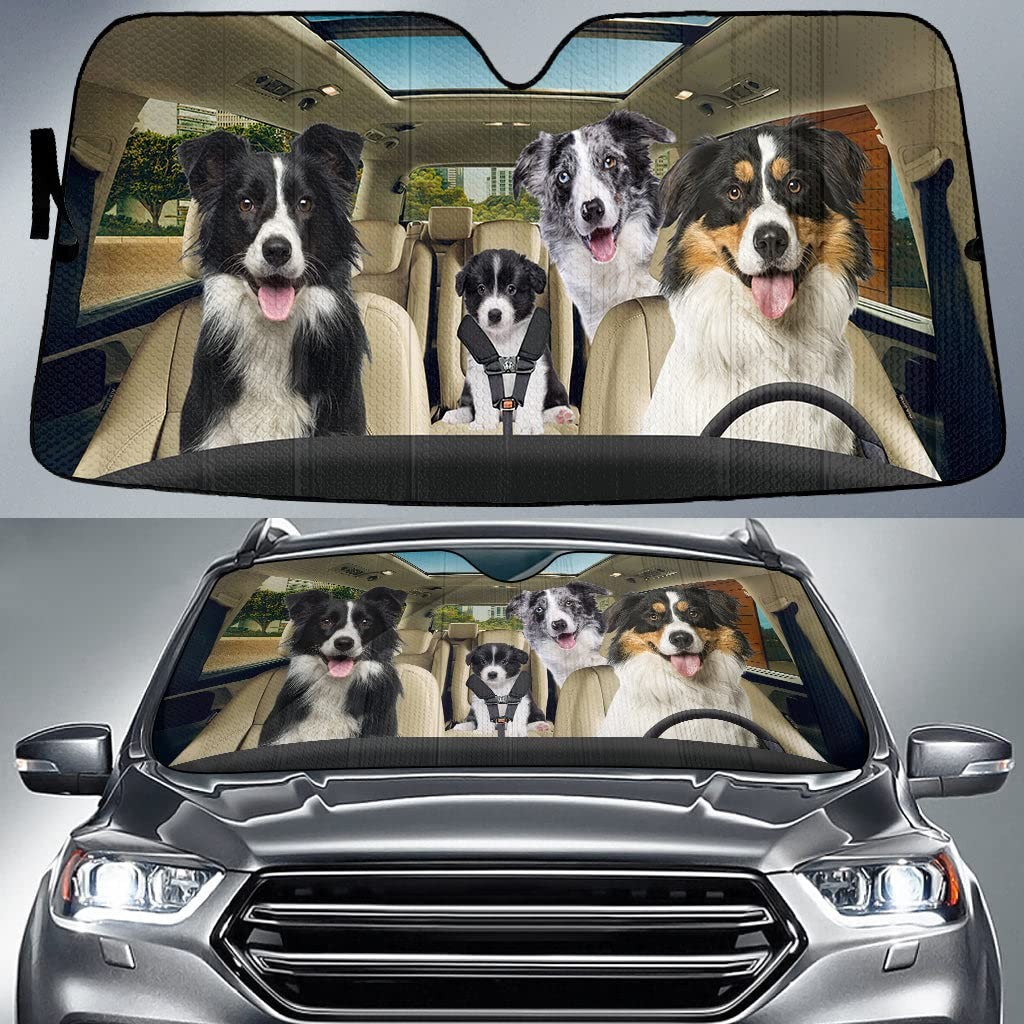 Personalized Car Sunshade