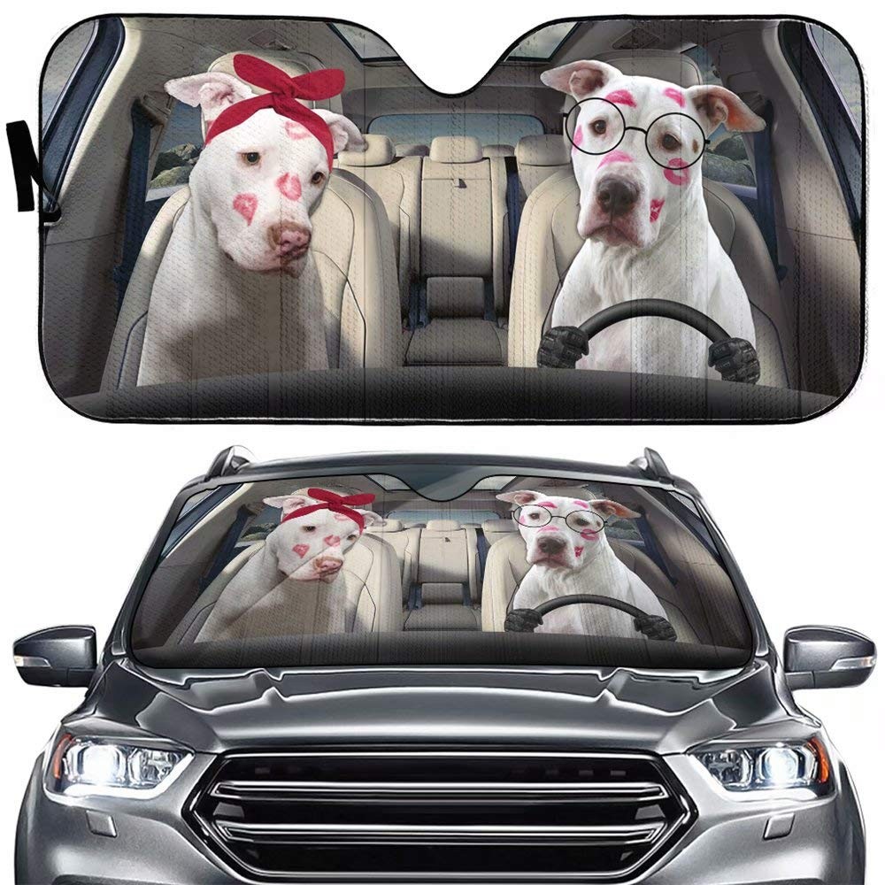 Personalized Car Sunshade