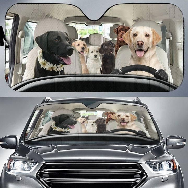 Personalized Car Sunshade