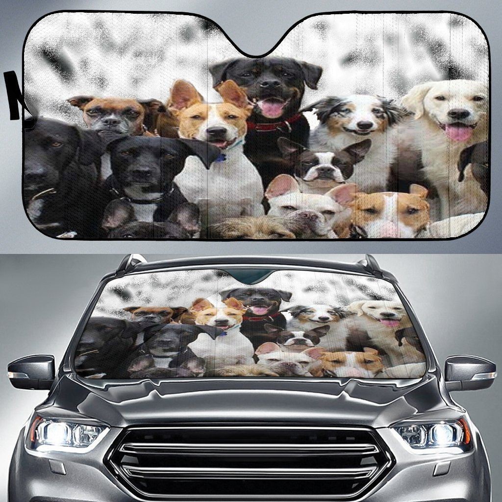 Personalized Car Sunshade