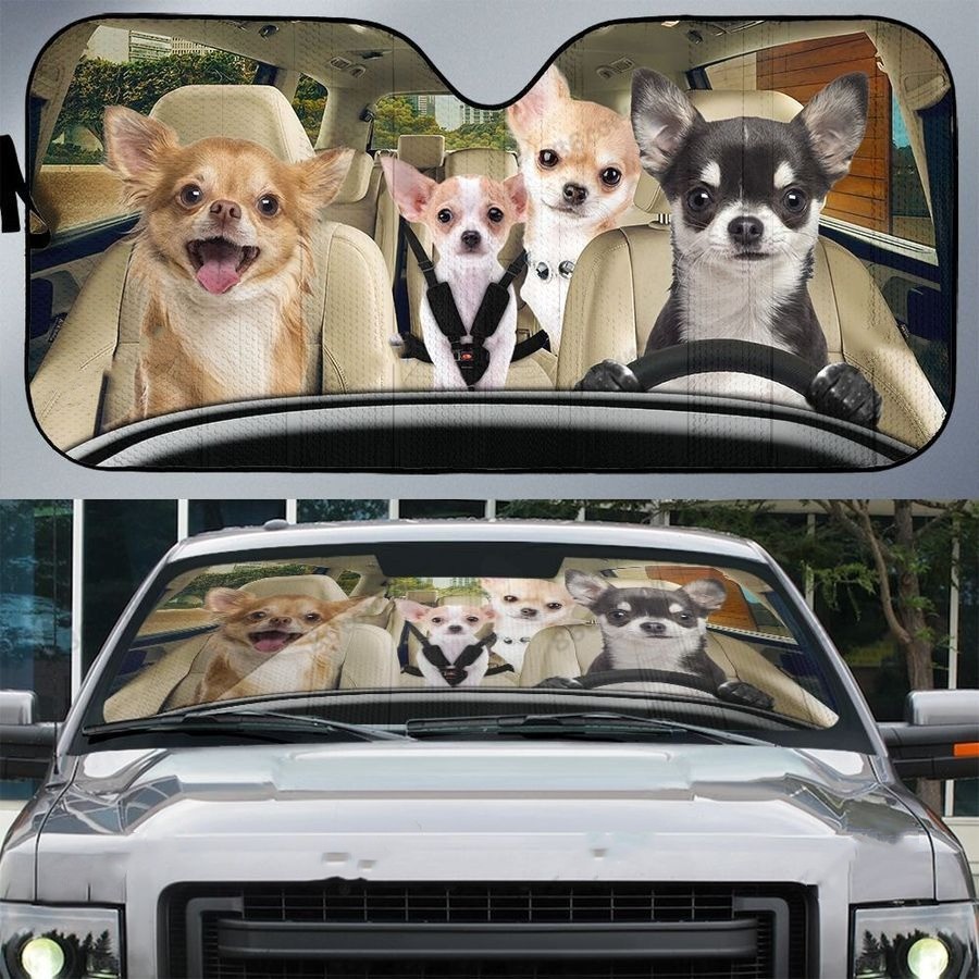Personalized Car Sunshade