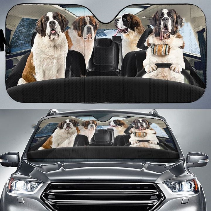 Personalized Car Sunshade