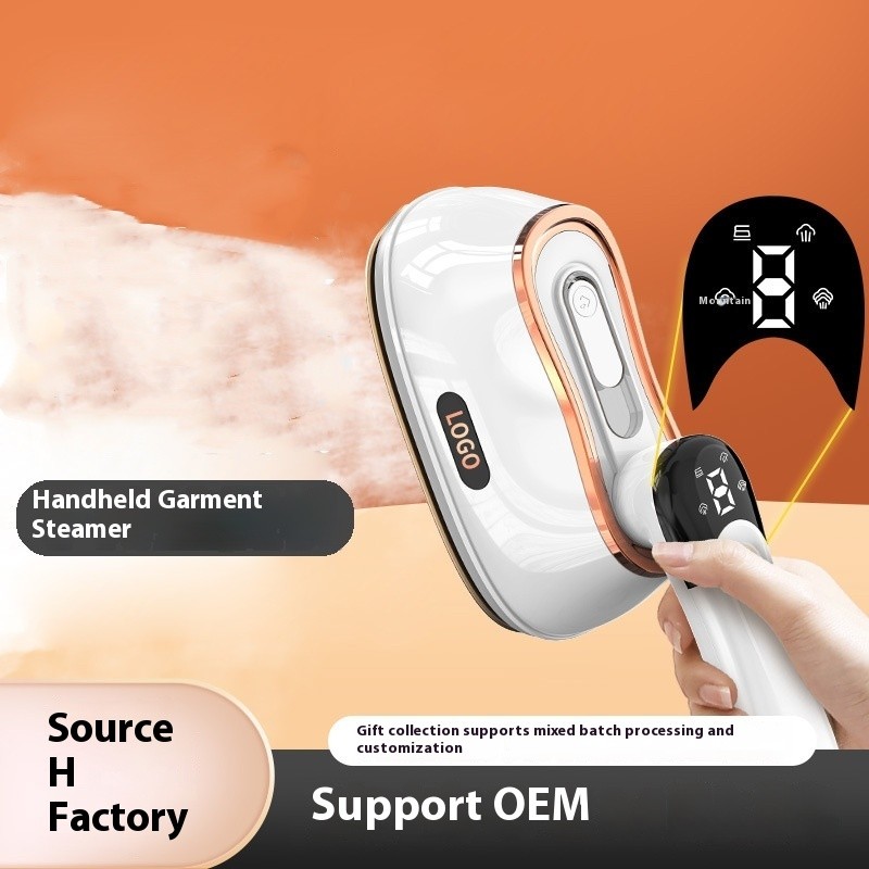 Professional Mini Steam Iron