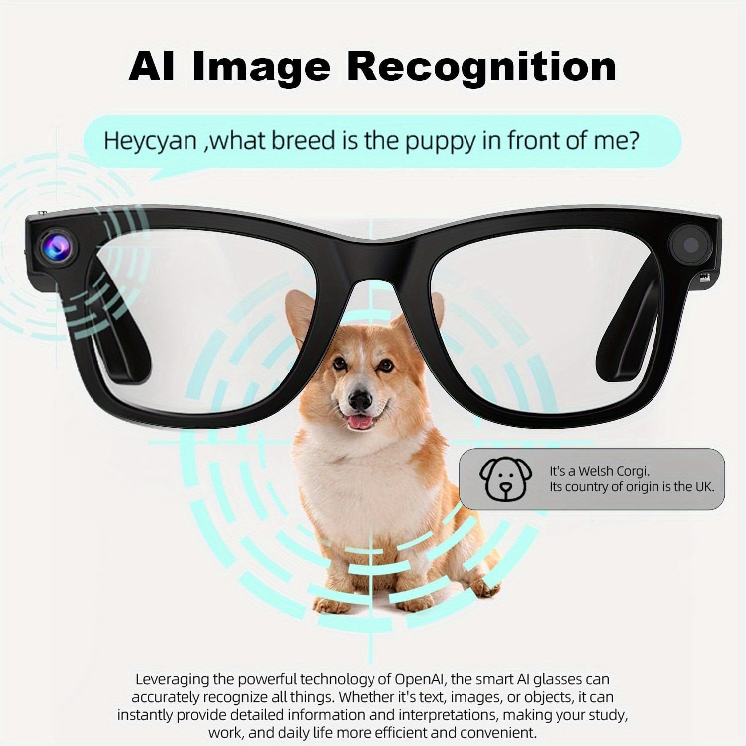 PEJE AI Smart Glasses: Real-Time Translation, Object Recognition, and Open-Ear Audio
