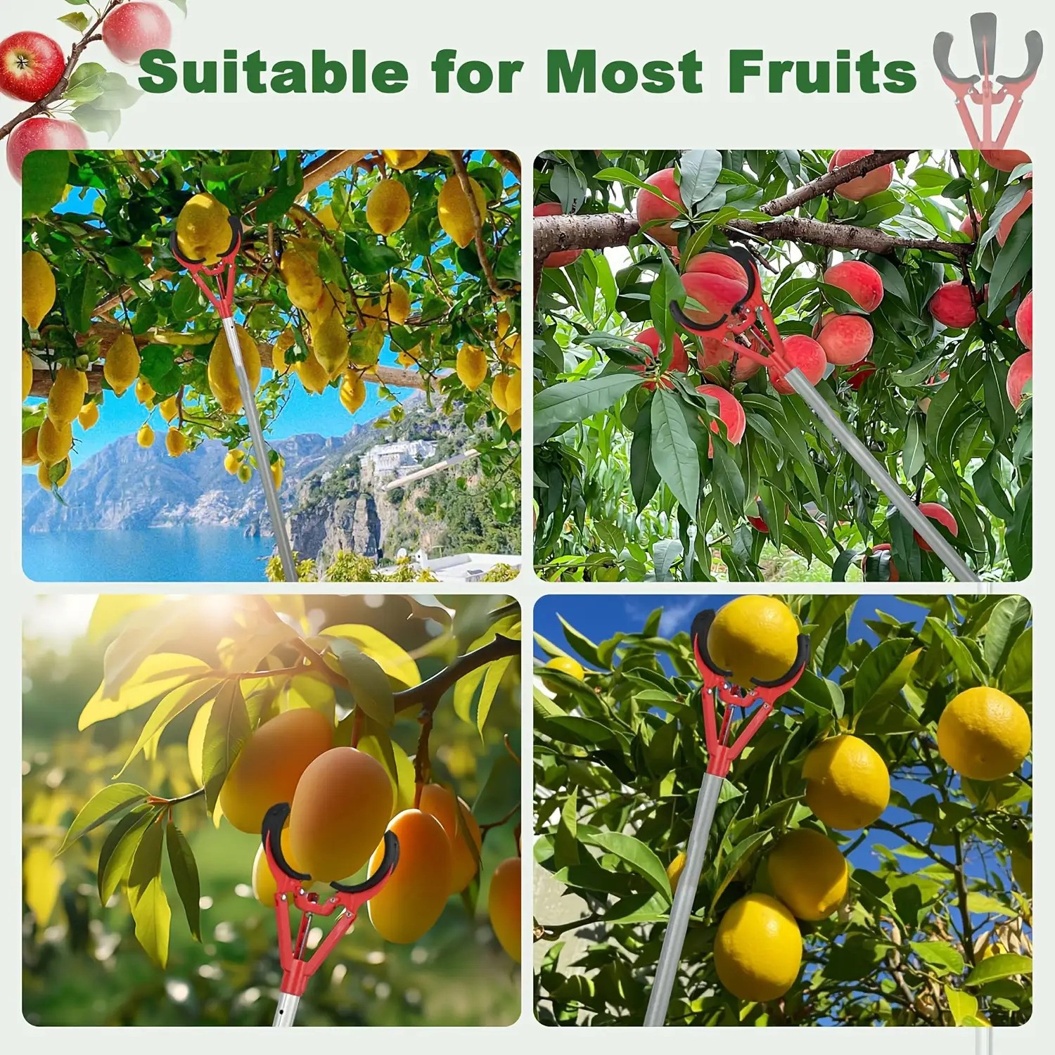 Tall Fruit Picker with Basket and Support Frame – Universal Type