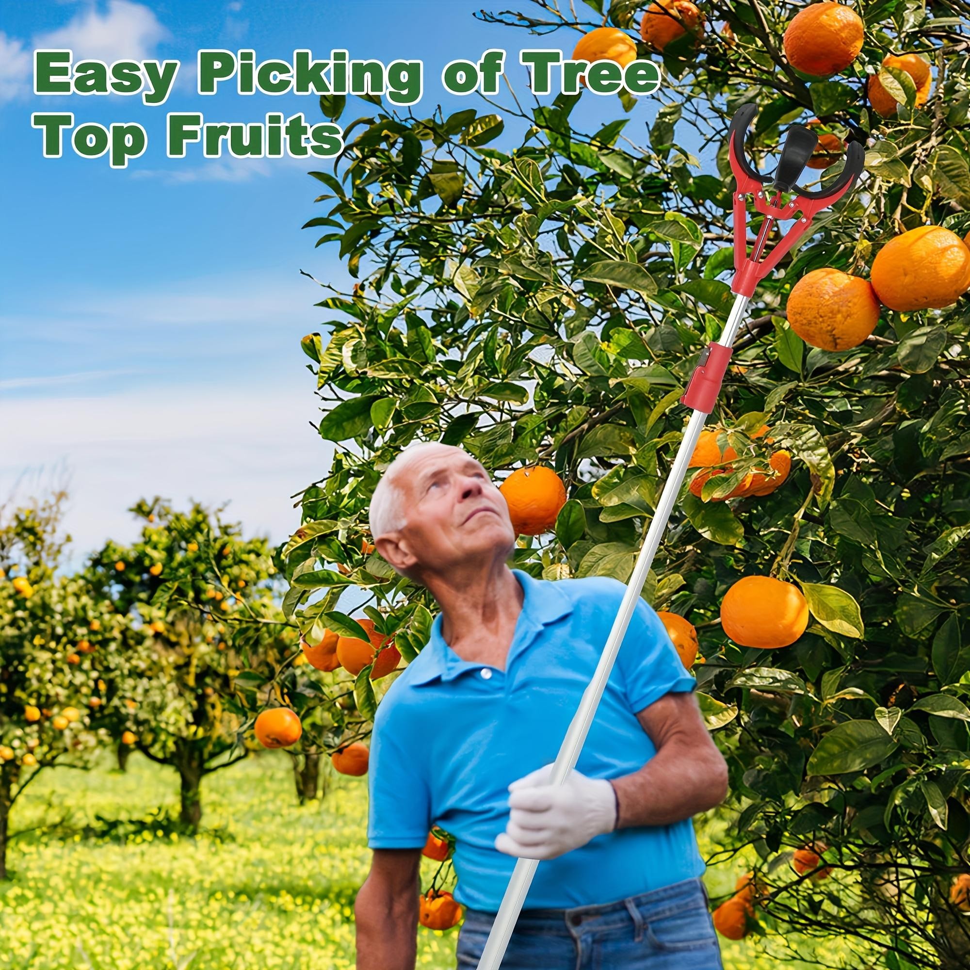 Tall Fruit Picker with Basket and Support Frame – Universal Type