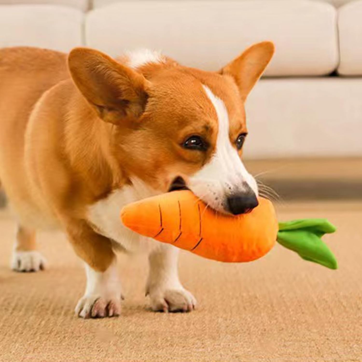 Dog Calming Carrot
